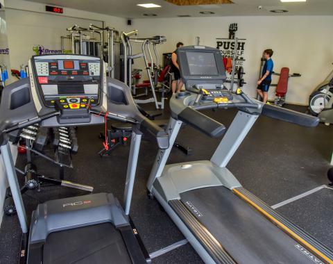 Dreamgym1