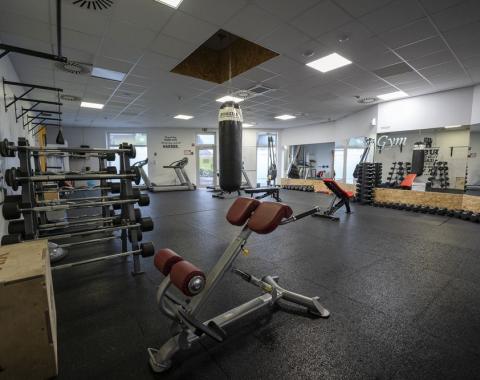 Dreamgym15