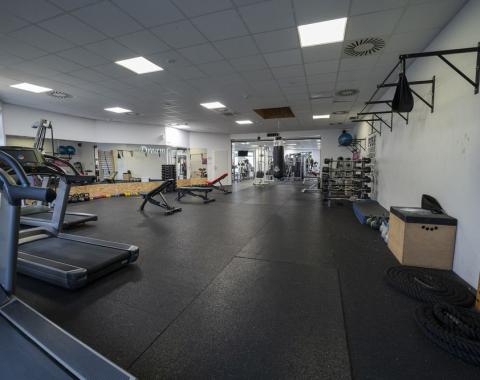 Dreamgym17
