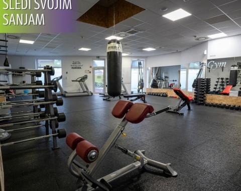 Dreamgym1