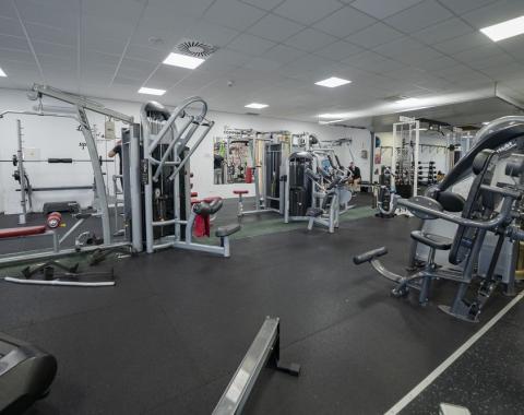 Dreamgym21