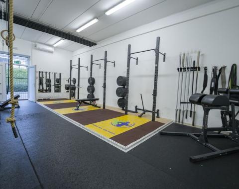 Dreamgym22