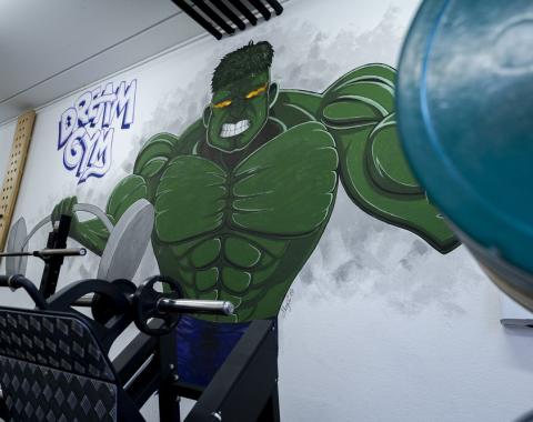 Dreamgym23