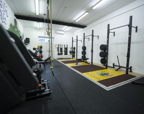 Dreamgym24