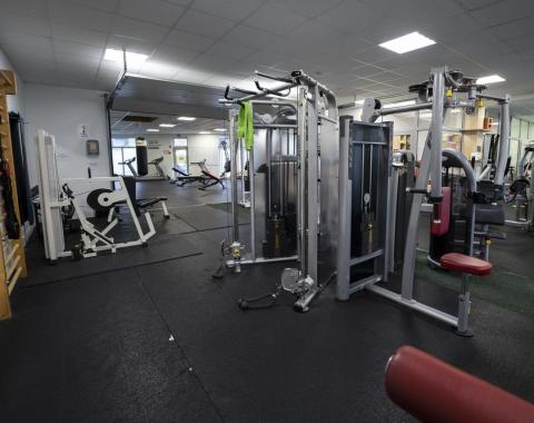 Dreamgym27