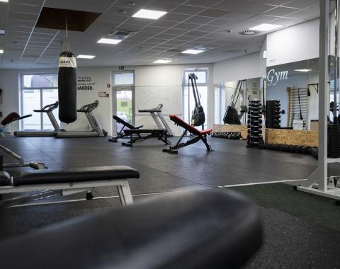 Dreamgym28
