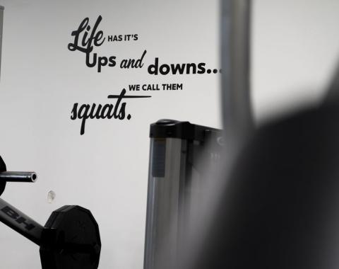 Dreamgym31